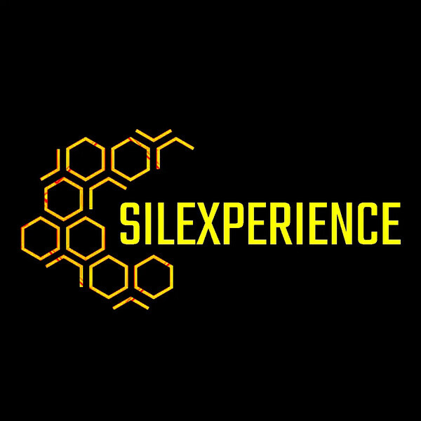 Silexperience